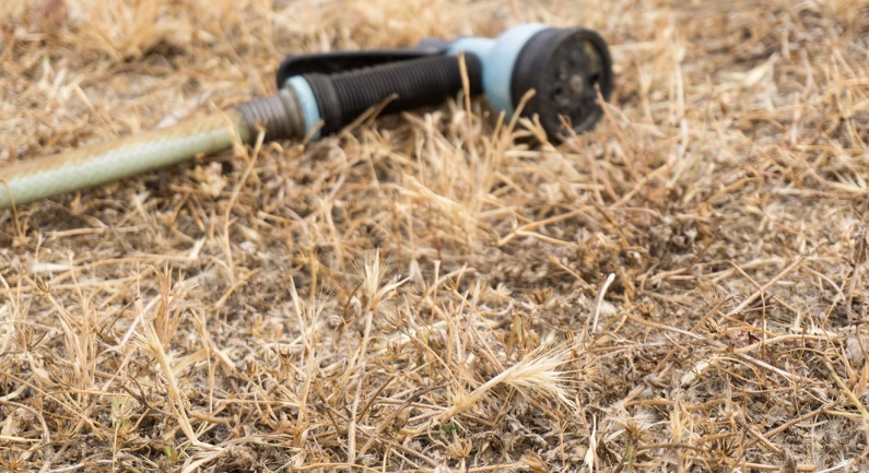 No end in sight: California drought on course to break another record No end in sight: California drought on course to break another record