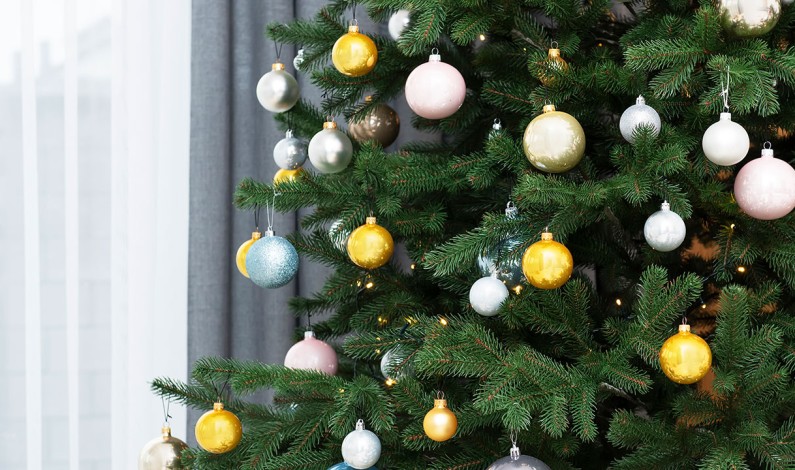 Recycle Your Holiday Tree January 8-9 Recycle Your Holiday Tree January 8-9