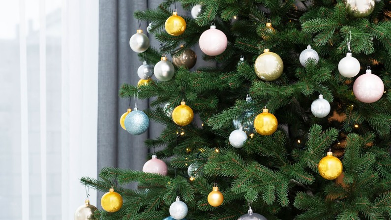 Recycle Your Holiday Tree, January 7 & 8, 2023 Recycle Your Holiday Tree, January 7 & 8, 2023