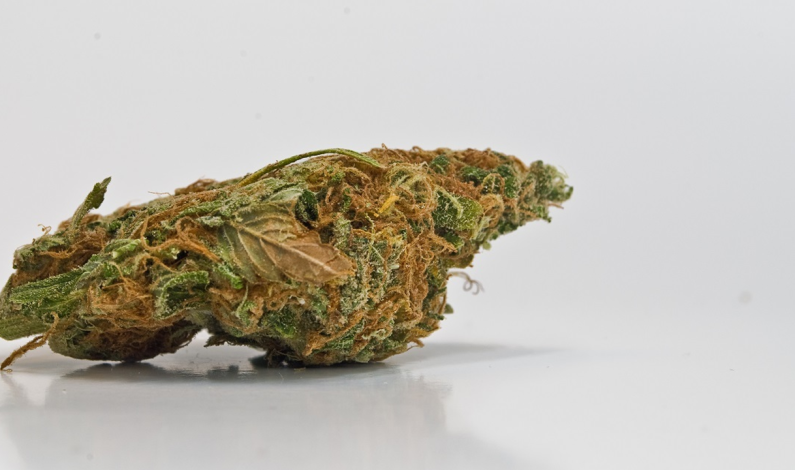Update on Cannabis Sales in Sacramento County Update on Cannabis Sales in Sacramento County