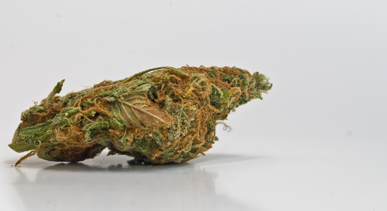Update on Cannabis Sales in Sacramento County Update on Cannabis Sales in Sacramento County