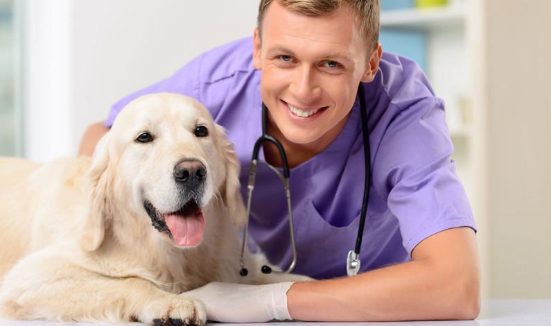 Low-Cost Clinic Keeps Pets Healthy and Home Low-Cost Clinic Keeps Pets Healthy and Home