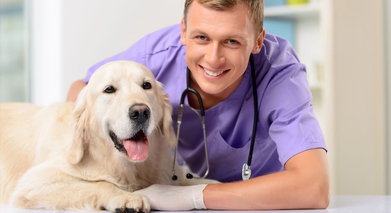 Low-Cost Clinic Keeps Pets Healthy and Home Low-Cost Clinic Keeps Pets Healthy and Home