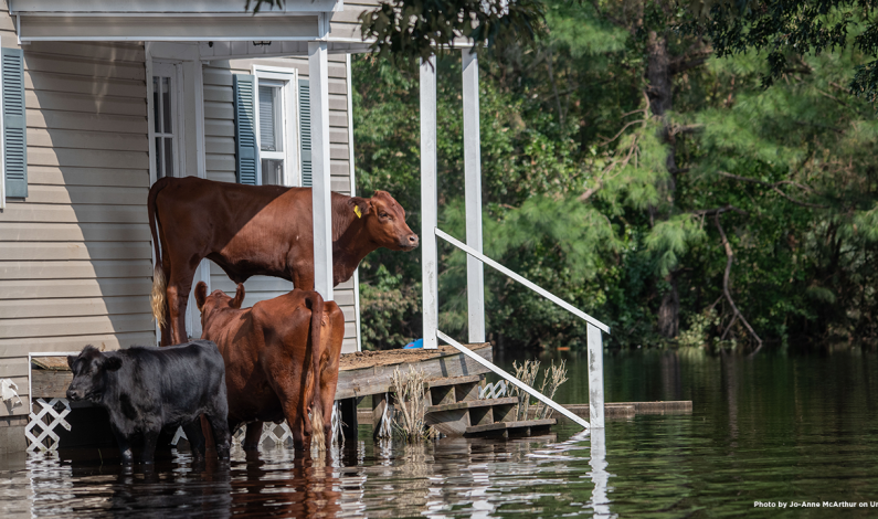 Sacramento County Parks To Close Due To Heavy Rain Sacramento County Parks To Close Due To Heavy Rain