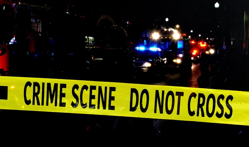 SacSheriff: North Highlands Suspect Aprehended by Sheriff K9 After Shooting at Deputies SacSheriff: North Highlands Suspect Aprehended by Sheriff K9 After Shooting at Deputies