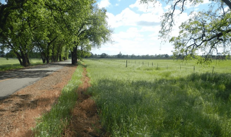 Dry Creek Parkway Trail Project to Break Ground in 2025 Dry Creek Parkway Trail Project to Break Ground in 2025
