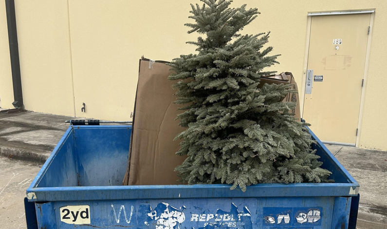 Recycle your Holiday Tree for Free Recycle your Holiday Tree for Free