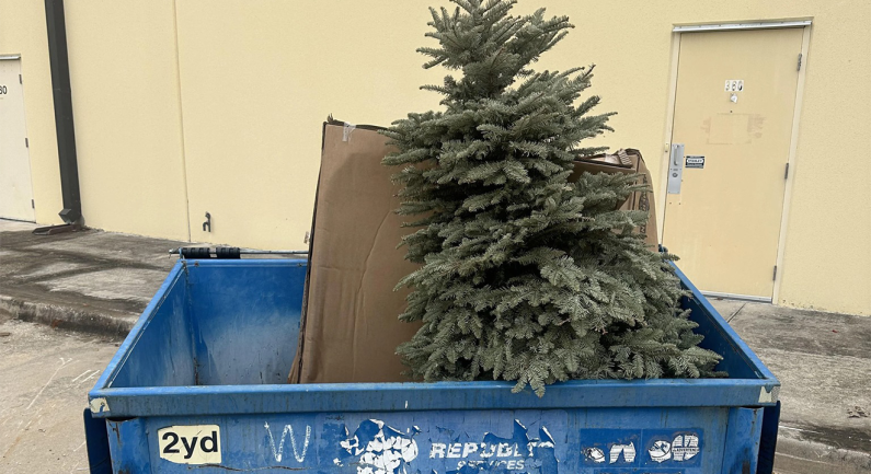 Recycle your Holiday Tree for Free Recycle your Holiday Tree for Free