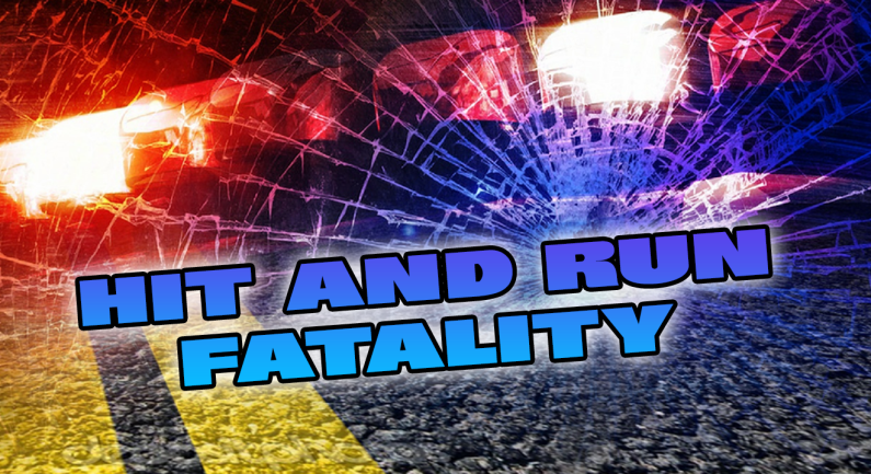 Rio Linda Man Killed in Hit and Run Rio Linda Man Killed in Hit and Run