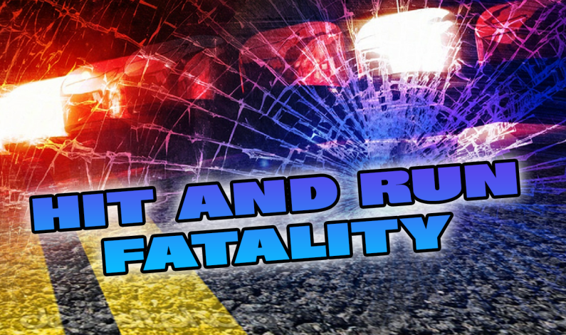 Fatal Collision on Elverta Road Fatal Collision on Elverta Road