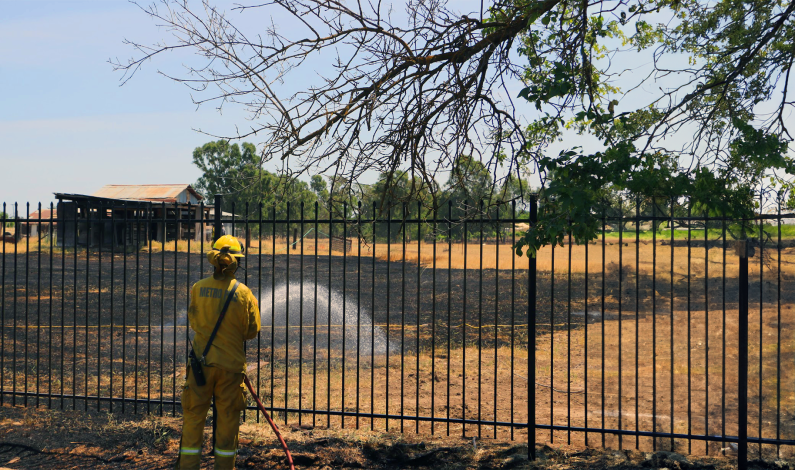 Community Efforts in Weed Abatement Enhance Fire Safety in Sacramento Community Efforts in Weed Abatement Enhance Fire Safety in Sacramento