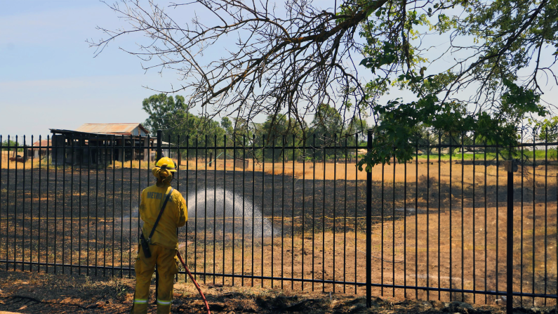 Community Efforts in Weed Abatement Enhance Fire Safety in Sacramento Community Efforts in Weed Abatement Enhance Fire Safety in Sacramento