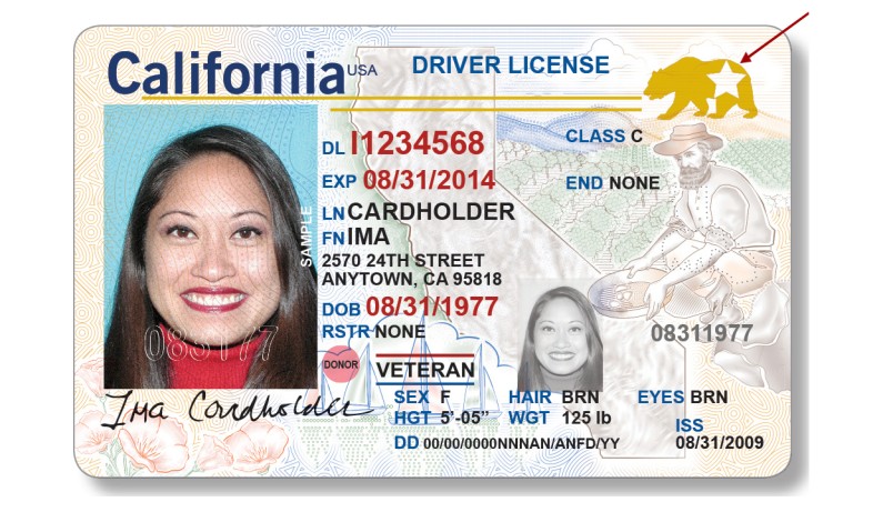 Don’t Get Ghosted by Travel Security: Apply for Your REAL ID Now! Don’t Get Ghosted by Travel Security: Apply for Your REAL ID Now!