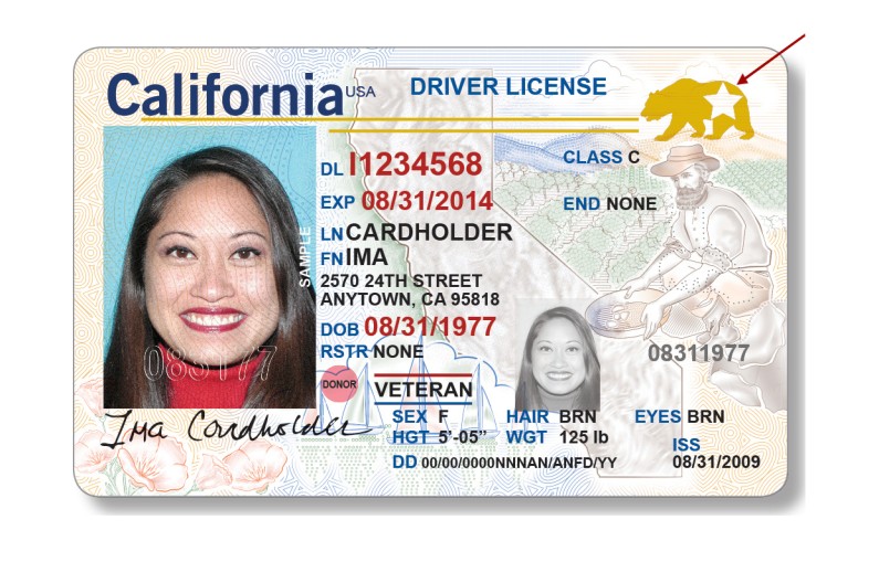 Don’t Get Ghosted by Travel Security: Apply for Your REAL ID Now! Don’t Get Ghosted by Travel Security: Apply for Your REAL ID Now!
