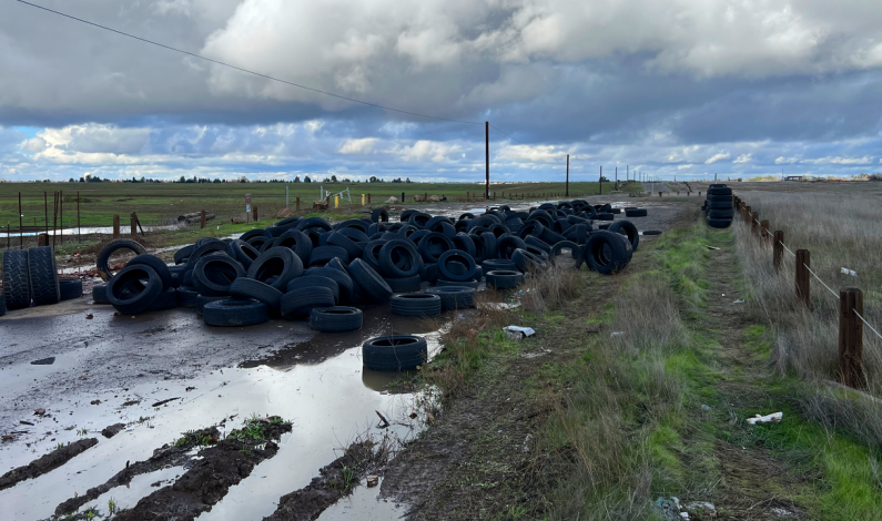 Sac County Regional Park Rangers Bust Illegal Tire Dumping Operation Sac County Regional Park Rangers Bust Illegal Tire Dumping Operation